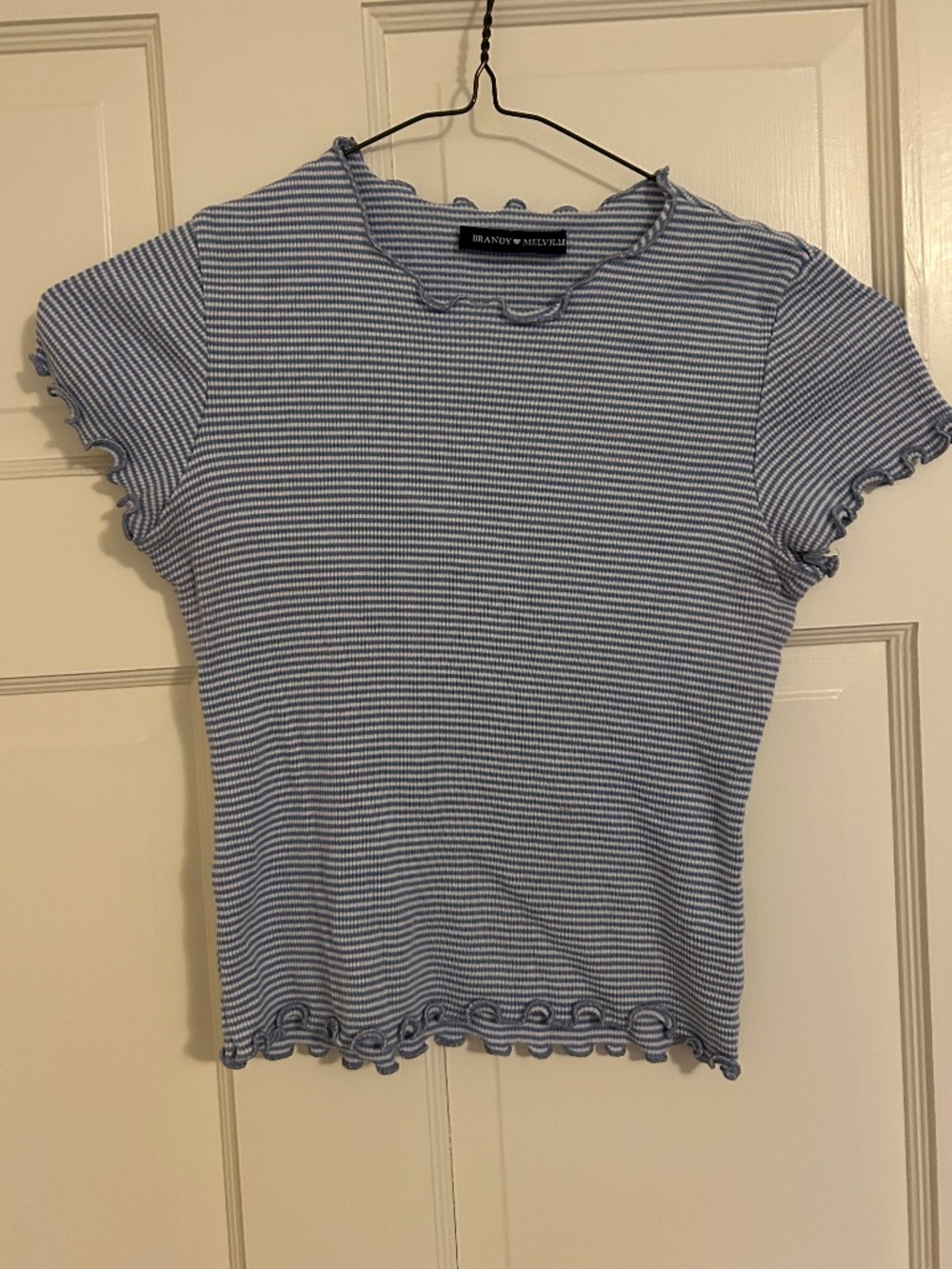 Brandy Melville Crop Top